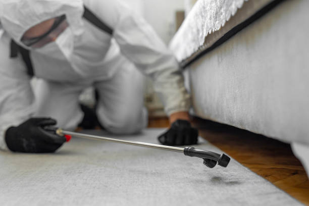 Professional Termite Control technician working in Juneau, WI