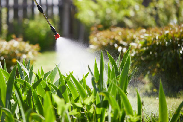 24/7 Emergency Termite Control experts in Juneau, WI