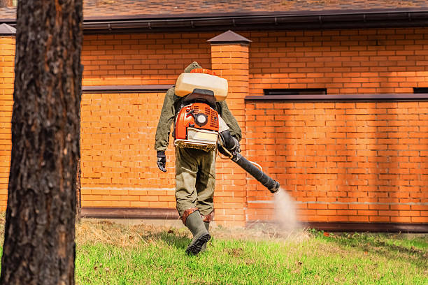 Trusted Bed Bug Control service in Juneau, WI - Nex Pest Control